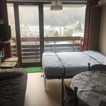 Charmant Studio Avec Balcon, Parking Et Ascenseur - Mont-dore, 4 Couchages - Fr-1-415-133 Appartement